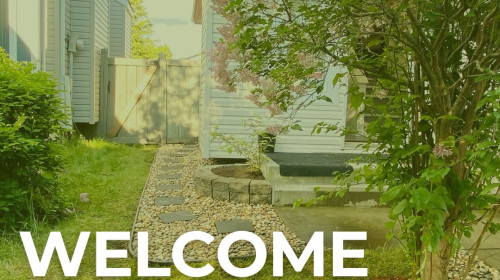 Spring Lawn & Garden Care: Essential Tips for a Lush, Green Yard